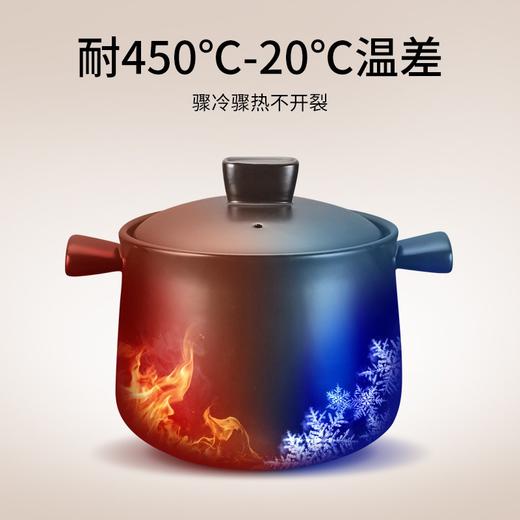 苏泊尔（SUPOR）新陶养生煲.乐享系列.浅汤煲TB25A1 商品图5