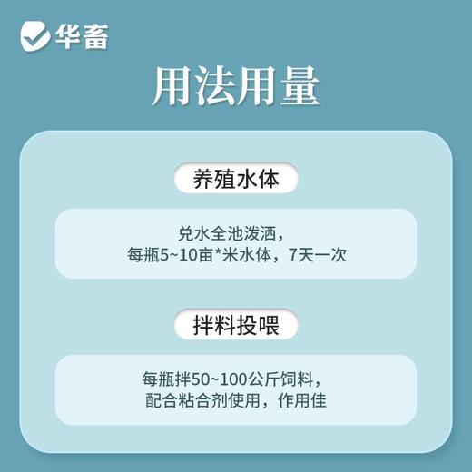 华畜弧菌克星弧菌清水产养殖鱼虾杀菌白斑空肠空胃噬菌海缸弧克 商品图6