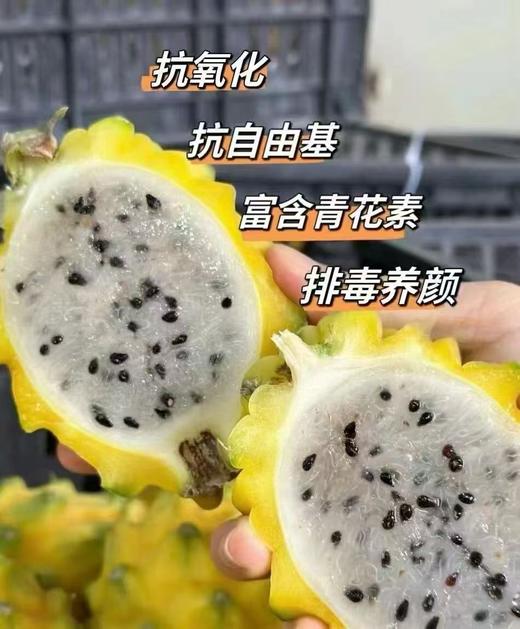 空运象牌燕窝果（约260g） 商品图2