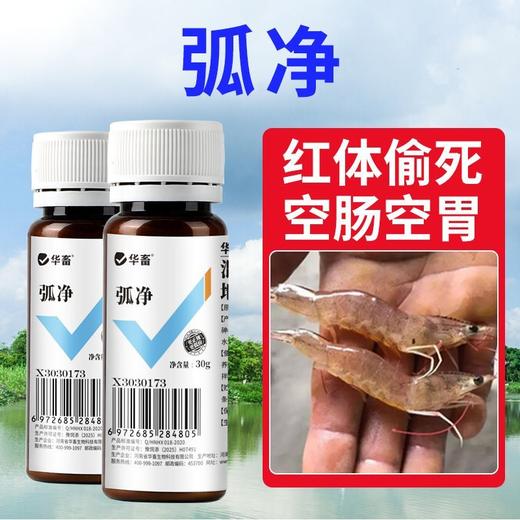 华畜弧菌克星弧菌清水产养殖鱼虾杀菌白斑空肠空胃噬菌海缸弧克 商品图0
