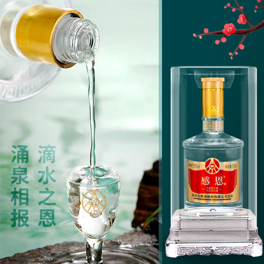 【五粮液总厂出品 亚克力罩+手榴水晶瓶 烫金logo】五粮液感恩酒52度浓香型（500ml*4） 商品图3