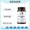 海外  Mitochondrial NRG™  线粒体胶囊 商品缩略图0