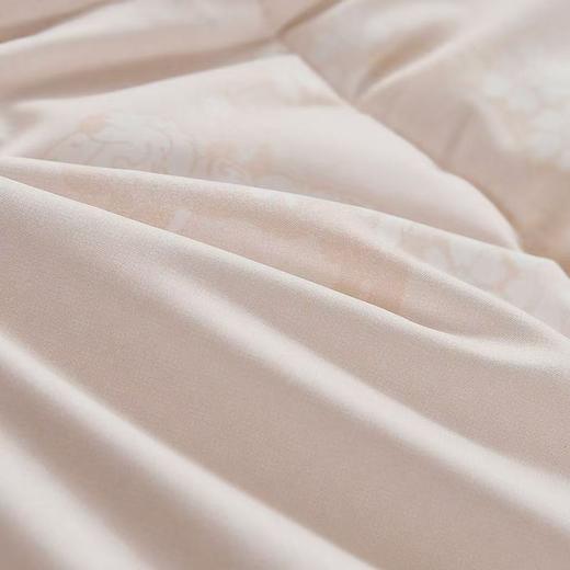 10楼 富安娜 冬栗新西兰羊毛冬厚被 /标准 / 黄  203*229  1900g  吊牌价 2180元   活动价299元 商品图2