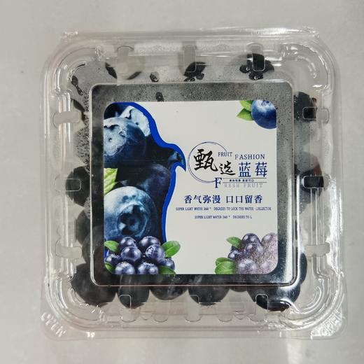 蓝莓 1盒 商品图0