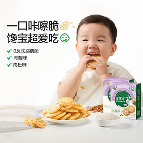 宝宝馋了 香脆胚芽米饼（海苔/肉松）43g*3 多规格