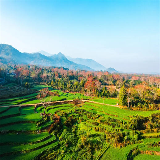 昌江自由行 4钻度假酒店随心住 玩转棋子湾霸王岭等网红目的地 商品图12