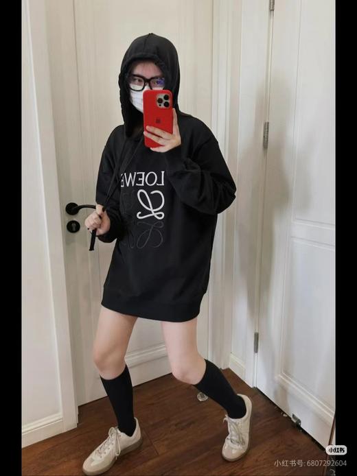 D121311秋冬新品中心字母拼色大logo连帽卫衣 商品图5