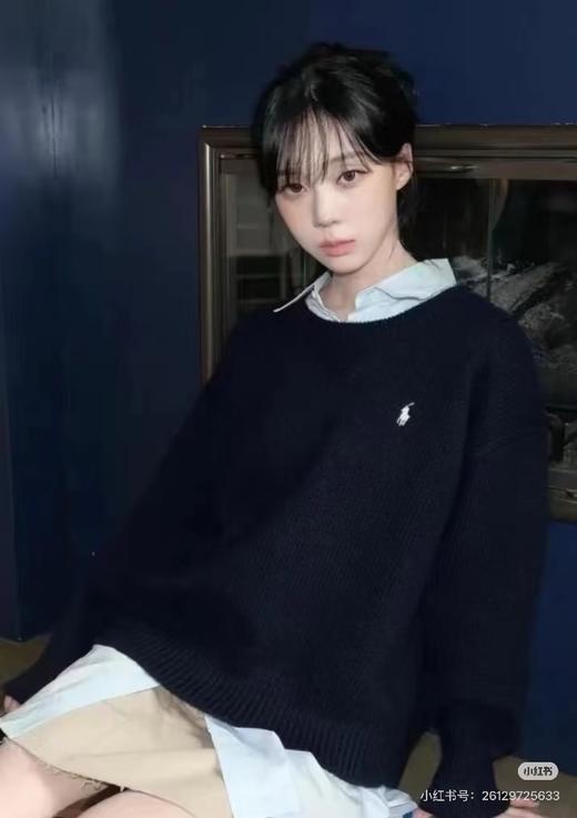 啦夫劳伦ralph lauren保罗四色小马标套头圆领长袖针织加绒卫衣 商品图3