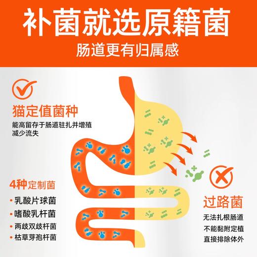 【猫研所8周年福利赞助】莽兜兜猫咪益生菌  3gx10条 五大活性菌种 适口性好 婴儿级配方 全年龄阶段适用 商品图3