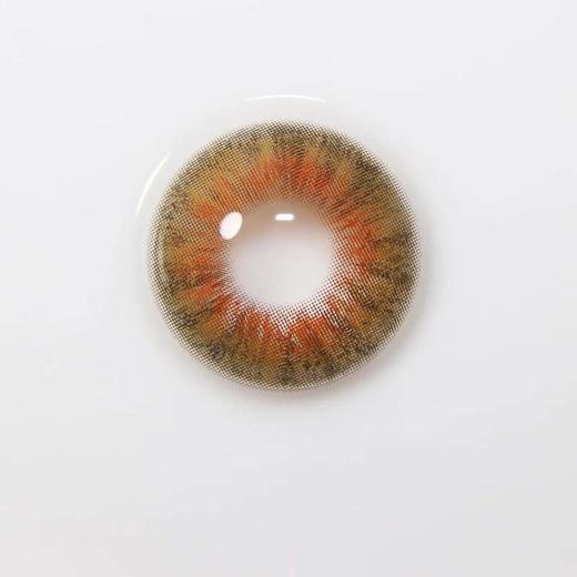 hancon 日抛（6片装）狐狸 直径14.5mm着色13.8mm 商品图2