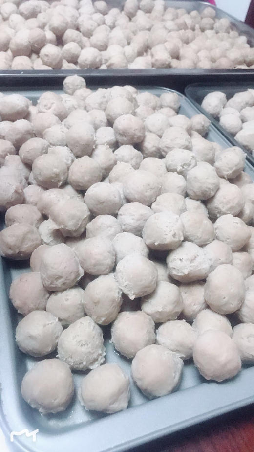 李太纯手工鱼丸500G 商品图4