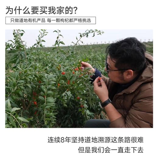 【宁夏中宁有机枸杞】749项农残0检出  匠心之选  250g/罐，长沙发出 中通快递    中果50g约500粒左右     大果50g约280粒左右 商品图1