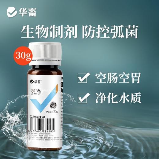 华畜弧菌克星弧菌清水产养殖鱼虾杀菌白斑空肠空胃噬菌海缸弧克 商品图1