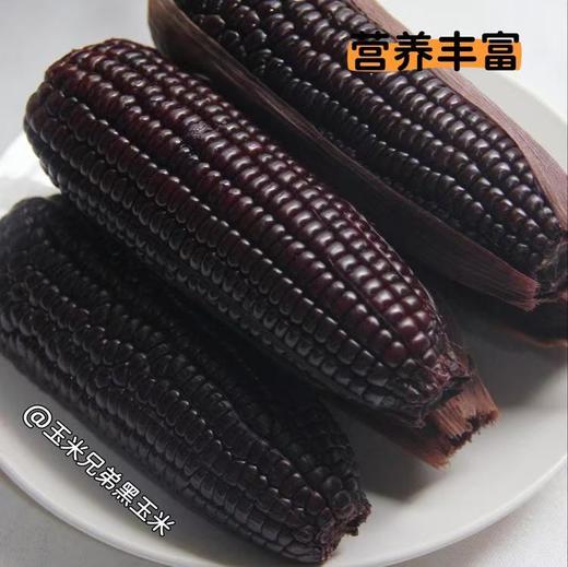 【有机小黑糯玉米】！有机种植，有机高温蒸煮，含花青素，口感香甜软糯，采收吐穗后22-24天黄金期的玉米，严控采收量，确保当天都能锁鲜入库 商品图7