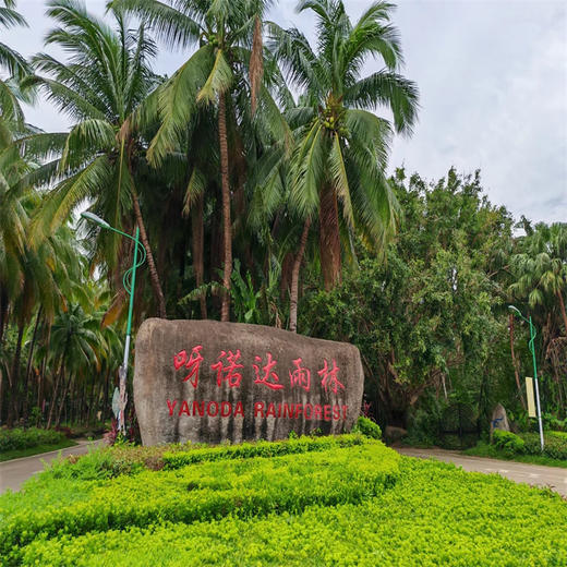 保亭自由行 4钻康养泡池主题酒店随心住 玩转呀诺达槟榔谷等网红目的地 商品图12