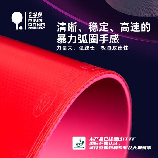 友谊729紫电奔腾3省队乒乓球拍胶皮奔腾3 III 反胶套胶新款 商品图3