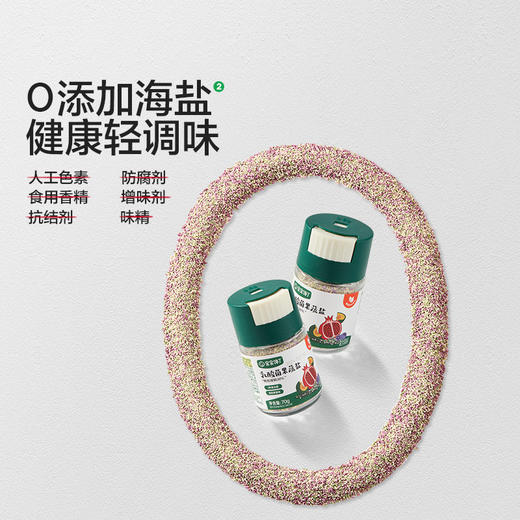 宝宝馋了 乳酸菌果蔬盐 70g 商品图4