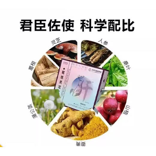 【清仓好价】葛根灵芝饮150ml（15ml*10条）*3盒开袋即饮（效期至26.1.15） 商品图2