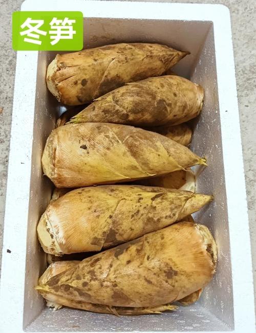 冬笋10.8元1斤,预订价 商品图0