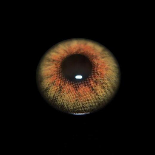 hancon 日抛（6片装）狐狸 直径14.5mm着色13.8mm 商品图1