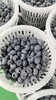 🌸 云南花香蓝莓🫐 商品缩略图5