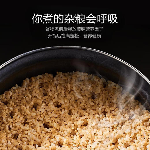 苏泊尔（SUPOR）ZMD安心系列 家用4L升多功能球釜内胆预约柴火饭智能电饭煲SF40HC66 商品图8