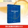 湖北发展研究报告2025 商品缩略图0
