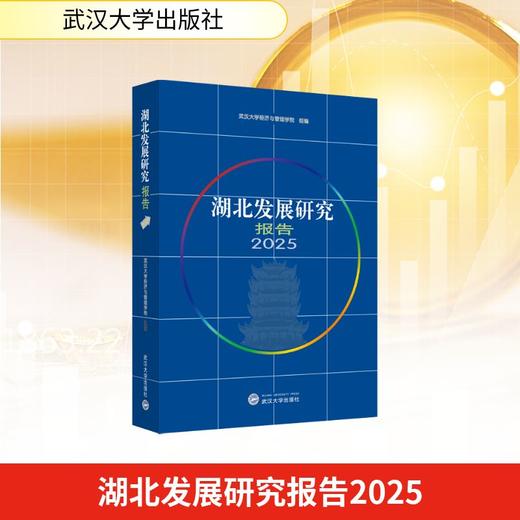 湖北发展研究报告2025 商品图0