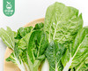 漳州新鲜黑叶小白菜/1份（约300g） 商品缩略图3