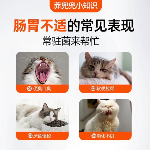 【猫研所8周年福利赞助】莽兜兜猫咪益生菌  3gx10条 五大活性菌种 适口性好 婴儿级配方 全年龄阶段适用 商品图5