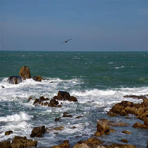 昌江自由行 4钻度假酒店随心住 玩转棋子湾霸王岭等网红目的地 商品图13