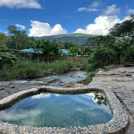 保亭自由行 4钻康养泡池主题酒店随心住 玩转呀诺达槟榔谷等网红目的地 商品图11