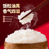 小杨臻选长粒香大米黑龙江产优质稻米弹润清香粳米稻香礼品 商品缩略图3