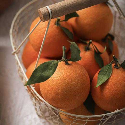 内在丰盈红美人果冻橙，美人的底气，每一寸饱含阳光 爱媛28果冻橙 商品图3