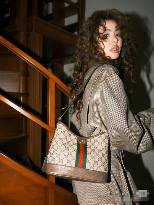 古驰 最新24 FS Ophidia 肩背包 （LZ） 商品图3