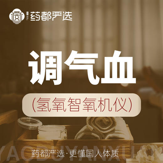 调气血（氢氧智氧机仪） 商品图0
