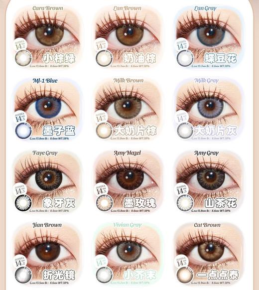 Leenscolor正品年抛清仓39/副100/3副,小棕绿奶油棕蝶豆花墨子蓝大奶片棕，最高度数1000 商品图2