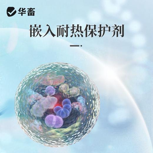 华畜弧菌克星弧菌清水产养殖鱼虾杀菌白斑空肠空胃噬菌海缸弧克 商品图4