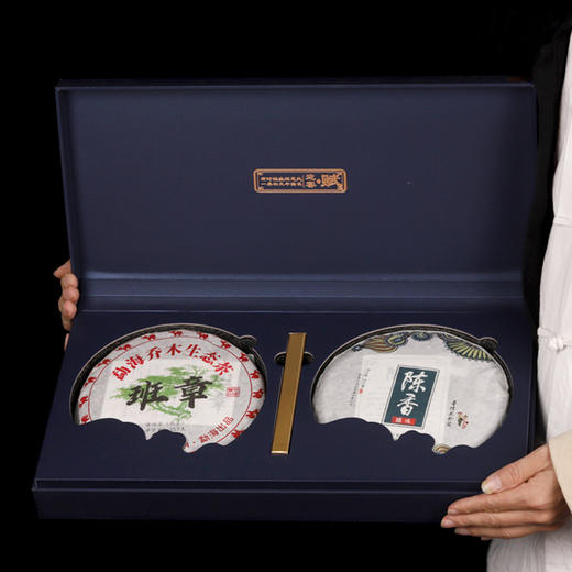 福鼎白茶饼【陈皮白茶饼】双饼高山日晒寿眉茶饼 茶叶礼盒装节日送礼长辈朋友 商品图6
