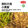 有机参姜丸200g|云南小黄姜人参熟姜粉丸子即食补充剂 商品缩略图4