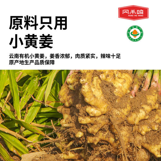 有机参姜丸200g|云南小黄姜人参熟姜粉丸子即食补充剂 商品图4