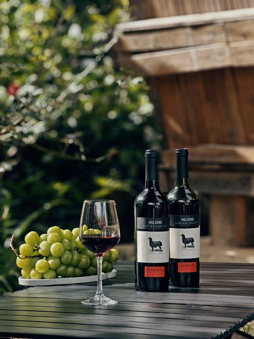 新春大礼包；过年礼品一站式包圆；红酒、米团花黑蜜、陈皮人参、冰岛甜、各样礼盒套装齐备，不赚钱，内部老友福利超值套装；数量有限先抢先得 商品图1