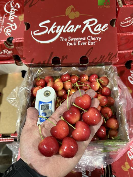 智利天空之城车厘子丨金车的天花板，遗落在人间的“小糖豆”，又脆又甜，每一口都是在刺激大脑释放多巴胺！产量非常稀少，喜欢吃的快下手！⭐️顺丰空运 商品图1