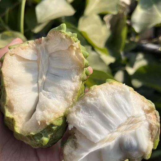 柠檬君释迦果 （小乔番荔枝）  生态种植当季新鲜水果【顺丰/京东快递】 商品图5