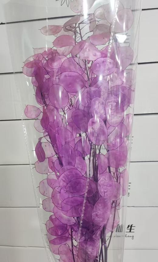 永生花材 | 银扇叶粉色 商品图0