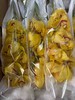 【国产蕙兰】岁月（黄色）单枝 商品缩略图2