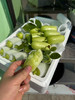 宏丰精选 拇指黄瓜，脆甜多汁，活动价14.8一斤 商品缩略图3
