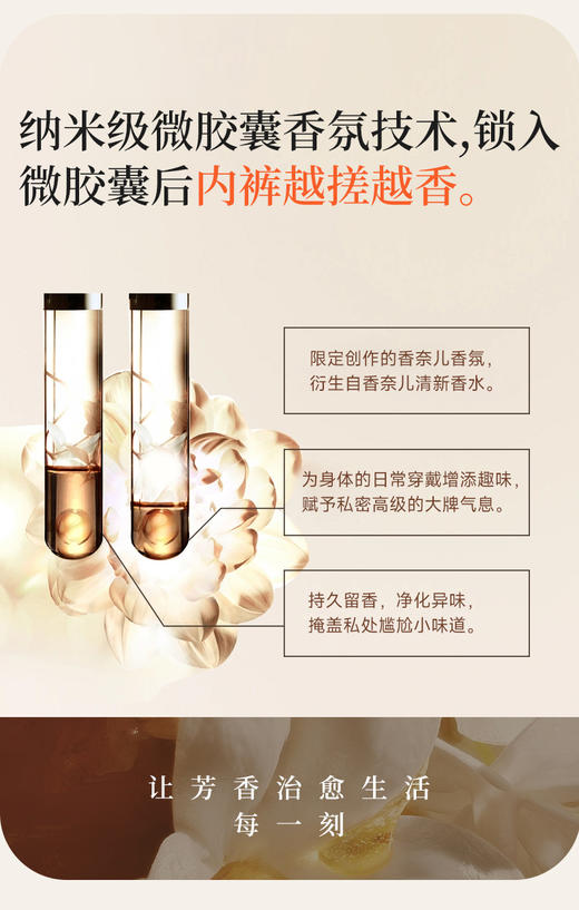 4条装 香氛云感棉朵裤（高腰）19302 商品图2