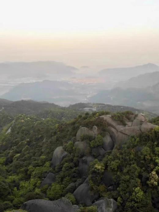 中茶山海太姥典藏白牡丹白茶三年陈500g福鼎老白茶礼盒装散茶陈年 商品图3