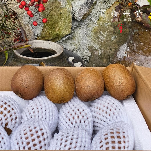 生态绿心猕猴桃（成都仓库-顺丰包邮） |  多种规格，来自四川都江堰中峰寺，生产者：真如师父，静师父【合作生产，公平贸易】 商品图14